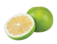 Greip magus SWEETIE, kg