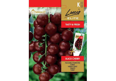 Tomat  Black cherry