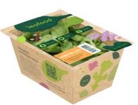 Salat Baby Pak Choi, 70g