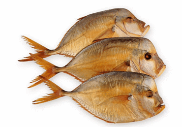 Külmsuits. kuukala, kg-lett