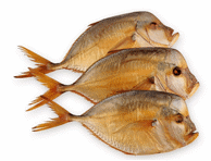 Külmsuits. kuukala, kg-lett